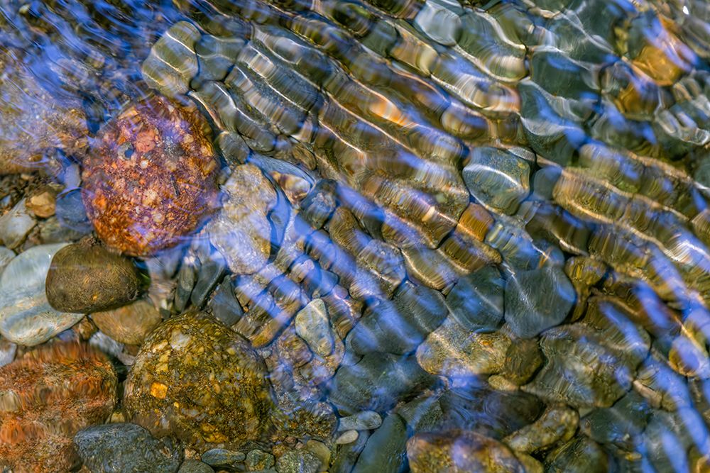 Smooth river rocks beneath surface of small stream, Great Smoky Mountains National Park, Tennessee